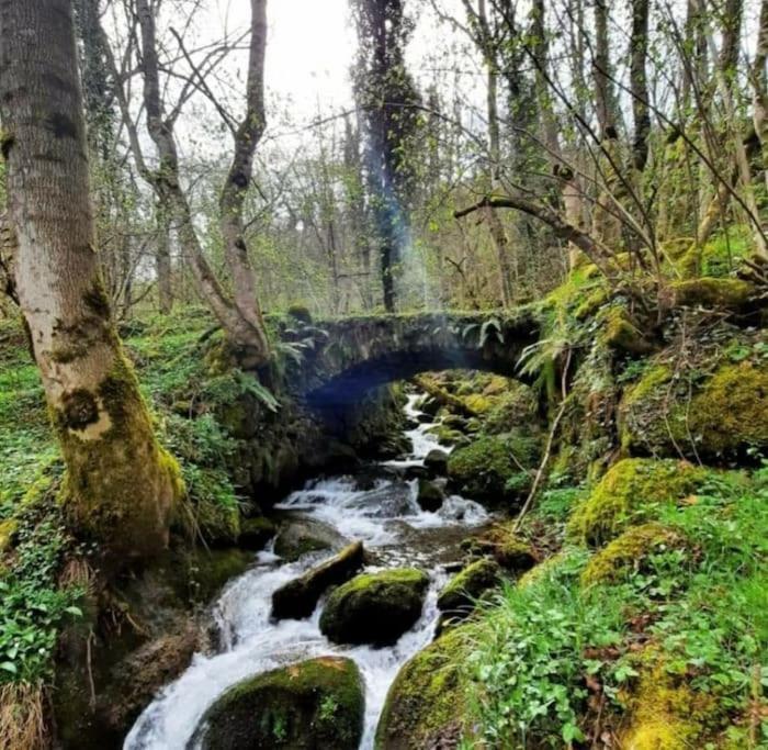 Mcastet, Casita Aranesa En El Valle De Aran Bossost Exterior foto