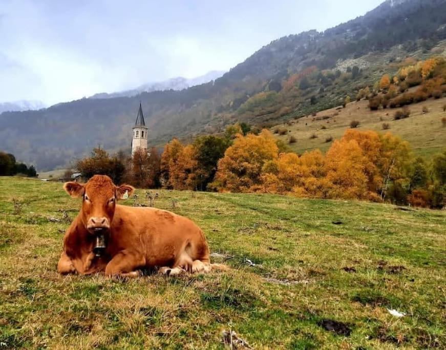 Mcastet, Casita Aranesa En El Valle De Aran Bossost Exterior foto