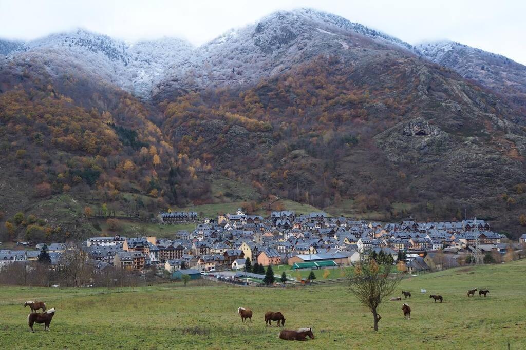 Mcastet, Casita Aranesa En El Valle De Aran Bossost Exterior foto