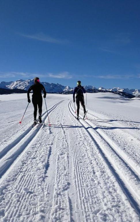 Mcastet, Casita Aranesa En El Valle De Aran Bossost Exterior foto